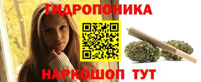 молекула духа Кингисепп
