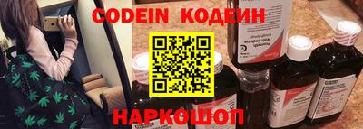 молекула духа Кингисепп