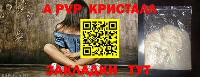 молекула духа Кингисепп