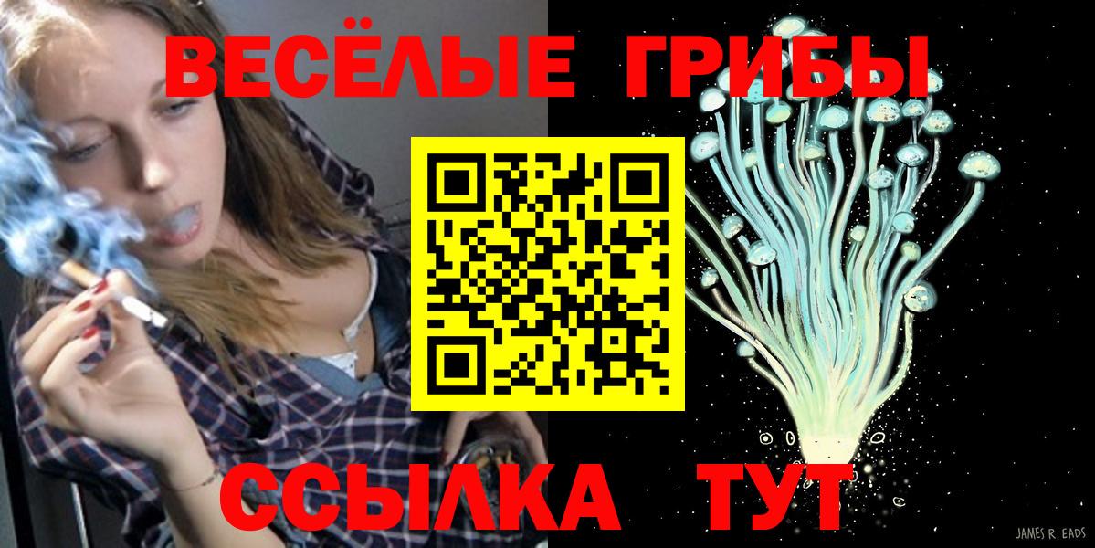 Псилоцибиновые грибы Cubensis Кореновск