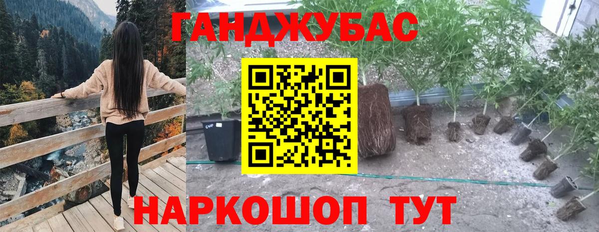 Бошки Шишки сатива Кореновск